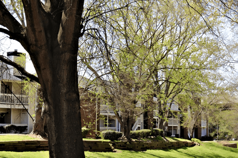 a row of houses with trees in front of them at Creekside Canopy, Charlotte, NC  